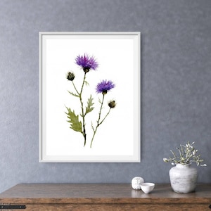 May include: A framed watercolor print featuring a detailed depiction of purple thistle flowers. The artwork showcases the delicate petals and green leaves against a white background. The framed print is displayed on a wooden table.