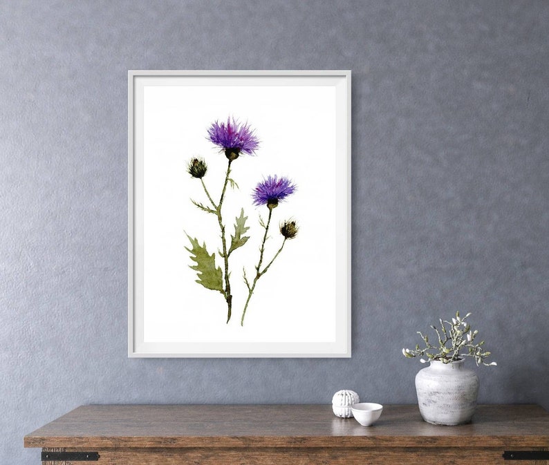May include: A framed watercolor print featuring a detailed depiction of purple thistle flowers. The artwork showcases the delicate petals and green leaves against a white background. The framed print is displayed on a wooden table.