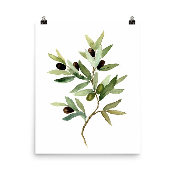 Olive branch - Still life Painting Painting by Georgia Korogiannou - Pixels