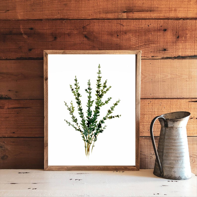 Herbs wall art Thyme watercolor painting kitchen print farmhouse kitchen decor minimalist wall art image 2