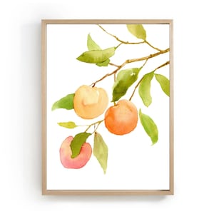 Peach tree art print peaches painting pink orange wall art kitchen poster fruits botanical watercolor 18x24 fine art print farmhouse art