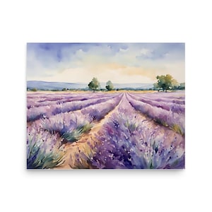 Lavender Field