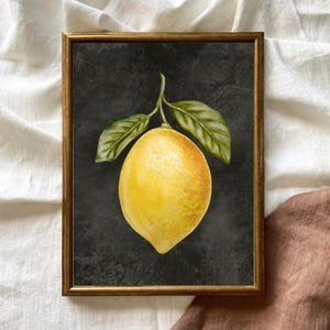 Citronbild på kanvas, konsttryck, köksbilder, citronträd, lantlig husinredning, akvarellbilder, köksaffisch bild 3