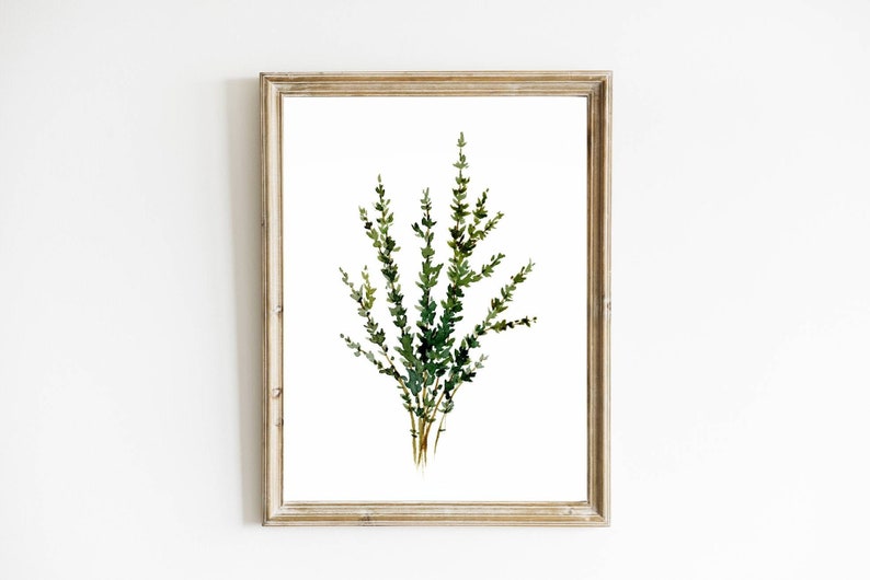 Herbs wall art Thyme watercolor painting kitchen print farmhouse kitchen decor minimalist wall art image 1