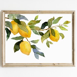Pinturas de acuarela limones cartel limonero imágenes cocina pared grande arte botánico pintura acuarela arte impresión en papel mate imagen 7