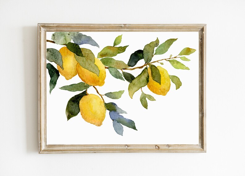 Pinturas de acuarela limones cartel limonero imágenes cocina pared grande arte botánico pintura acuarela arte impresión en papel mate imagen 7