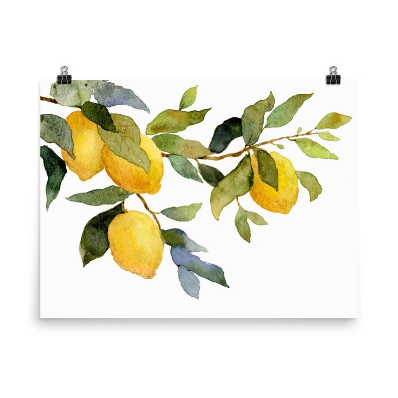 Lemontree