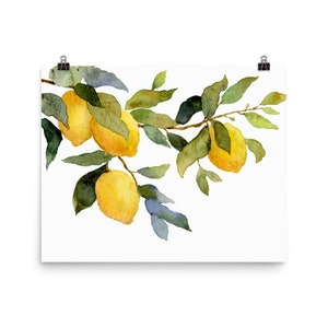 Lemontree