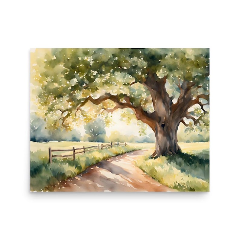 Oak tree road
