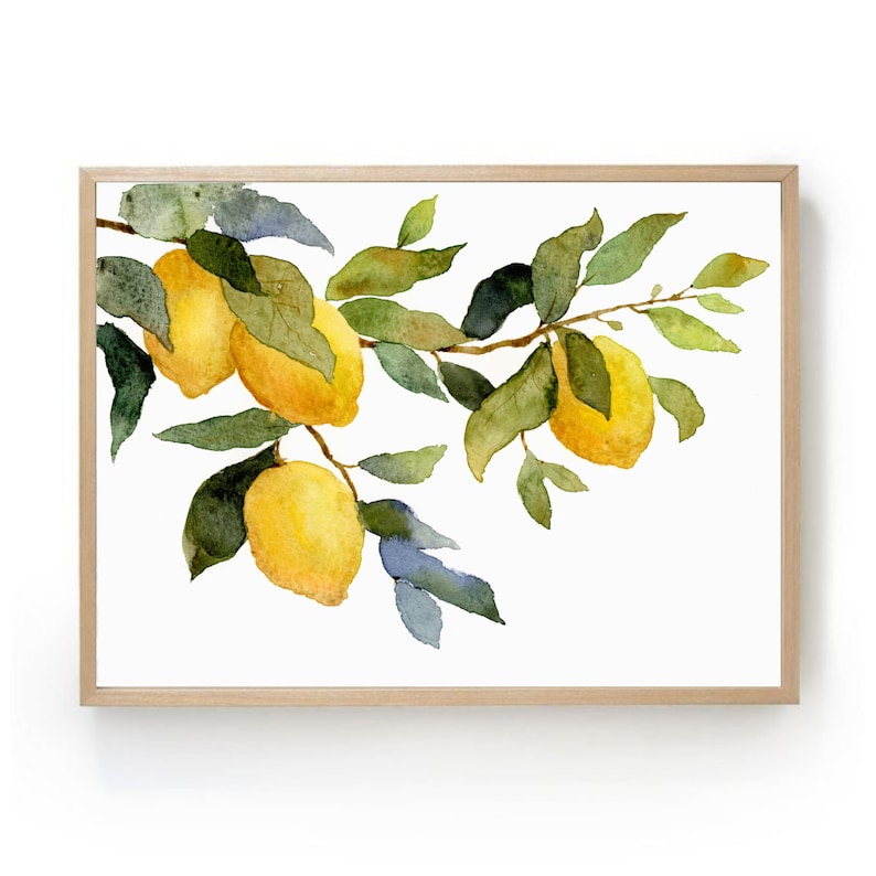 Pinturas de acuarela limones cartel limonero imágenes cocina pared grande arte botánico pintura acuarela arte impresión en papel mate imagen 1