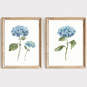 Puede incluir: Dos cuadros de pared con ilustraciones en acuarela de flores de hortensia azules con hojas verdes. Cada lámina está enmarcada en madera de color marrón claro, mostrando arte botánico sobre un fondo blanco con pétalos de color azul.
