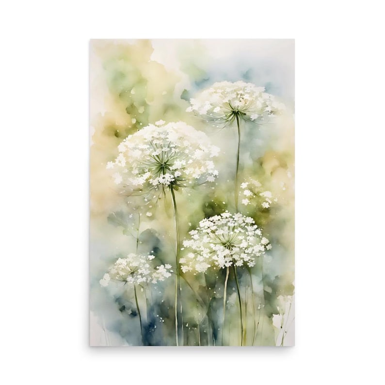 Queen Anne s lace