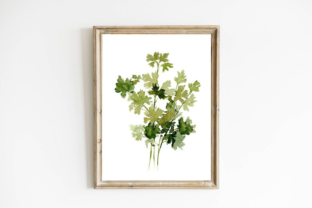 Kitchen Herbs Watercolor Painting Parsley Art Print Kitchen Wall Decor ...