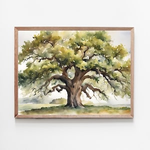 May include: Watercolor painting of a large oak tree with a wide canopy and sprawling branches. The tree is in a wooden frame. The leaves are shades of green and yellow, and the trunk is brown. The background is a soft, hazy landscape.