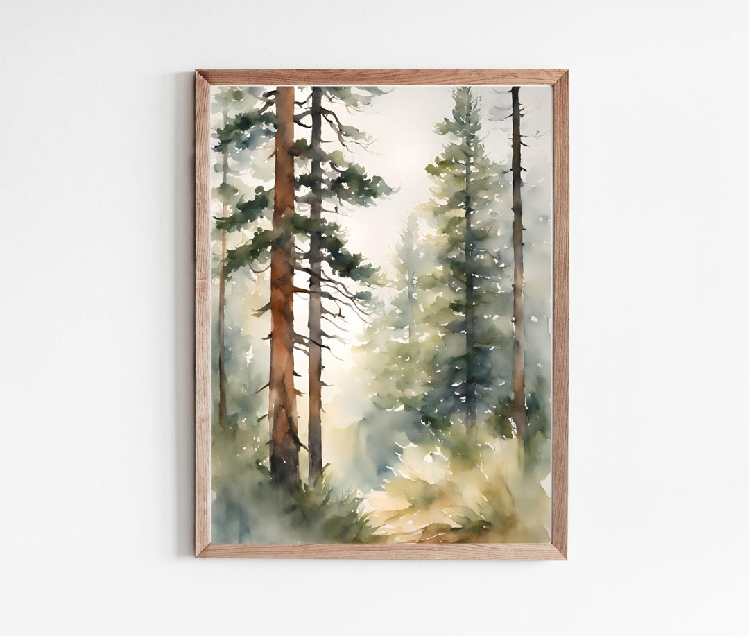 Sunrise Forest Painting Pine Tree Watercolor Art Print Alaska Tongass ...