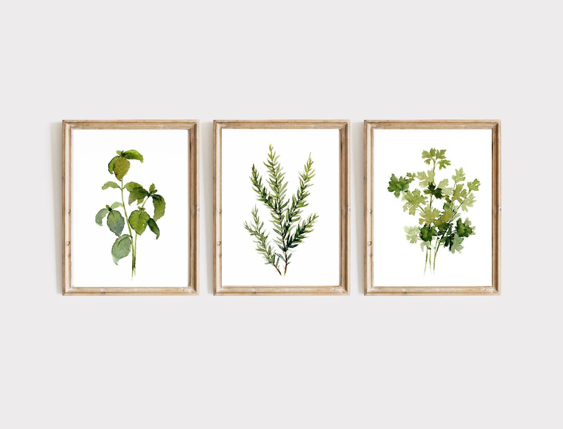 Kitchen Herbs Wall Art Set of 3 Watercolor Painting Rosemary Parsley ...