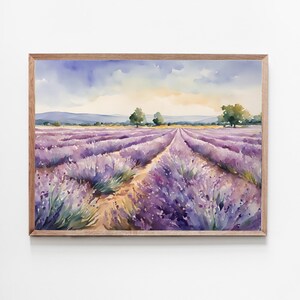 May include: A watercolor painting of a lavender field with a dirt path leading through the rows of purple flowers. The sky is a light blue with white clouds and the sun is setting in the distance.