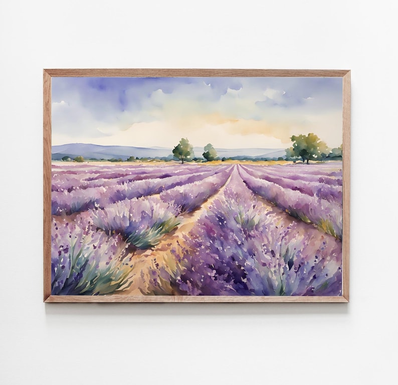 May include: A watercolor painting of a lavender field with a dirt path leading through the rows of purple flowers. The sky is a light blue with white clouds and the sun is setting in the distance.