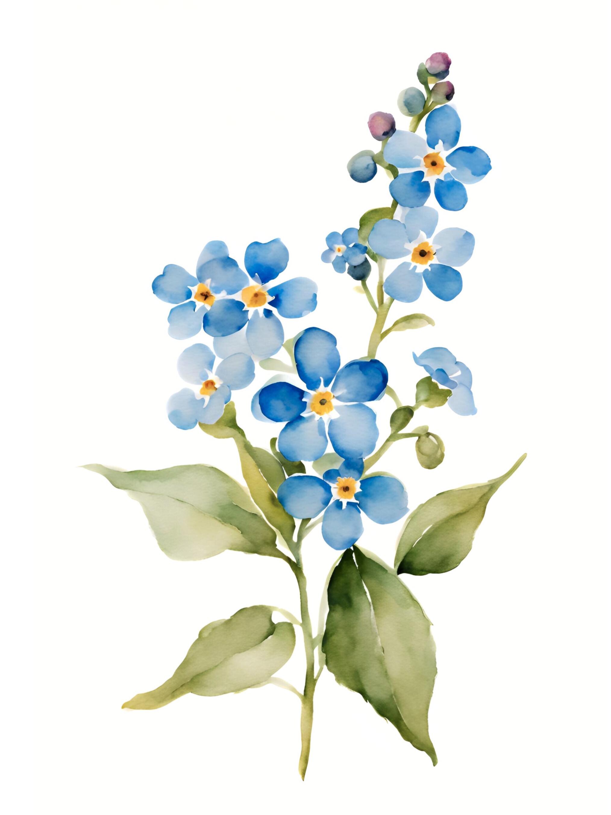 Forget-me-not Watercolor Print Wildflowers Painting Farmhouse Art Print  Floral Wall Art Botanical Artwork Light Blue Flower Prints, image size:2028x2704