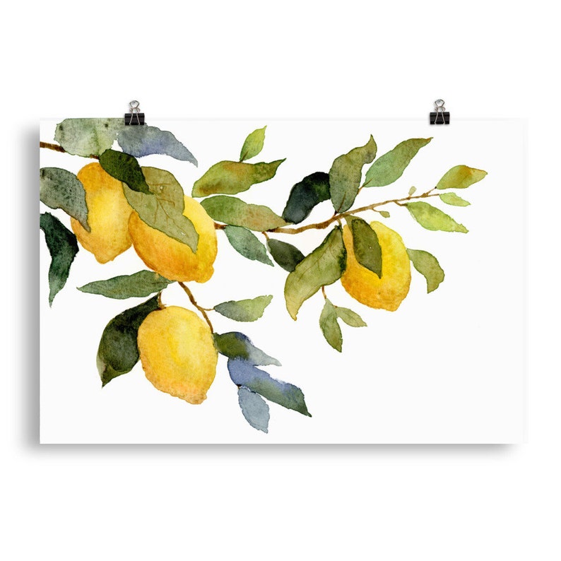 Lemontree