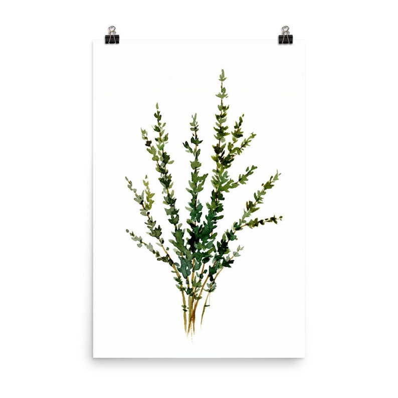 Herbs wall art Thyme watercolor painting kitchen print farmhouse kitchen decor minimalist wall art image 9