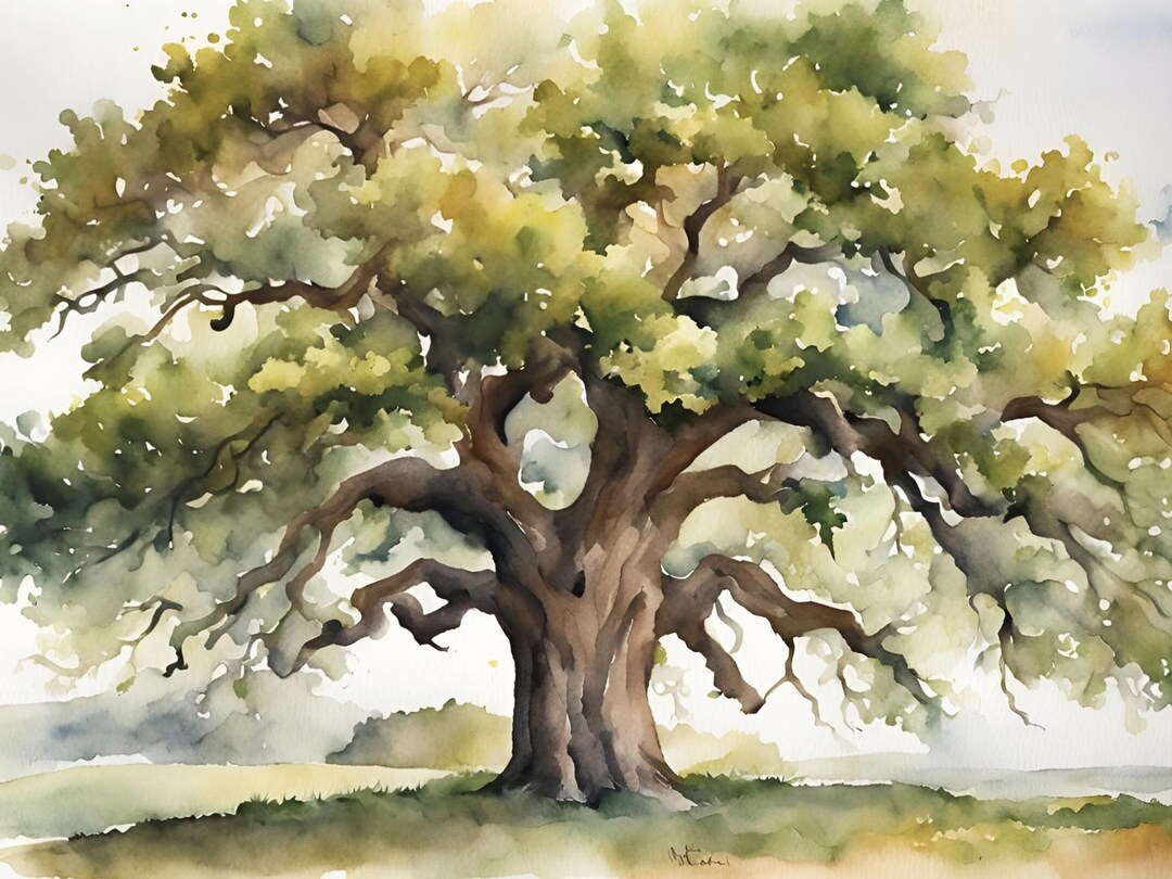 Oak Tree Painting Watercolor Landscape Old Oak Tree Art Print Large 