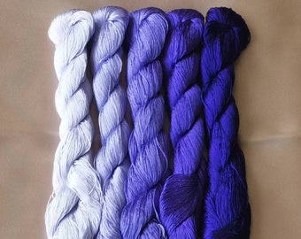 Può includere: Cinque matasse di filo da ricamo in tonalità di blu, che vanno da un blu molto chiaro a un viola scuro.