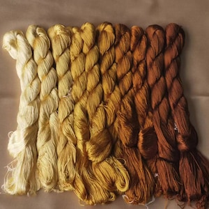 10 Large skeins Chinese pure mulberry silk embroidery thread floss for hand embroidery DIY fringe - Gradient color No. 841-850