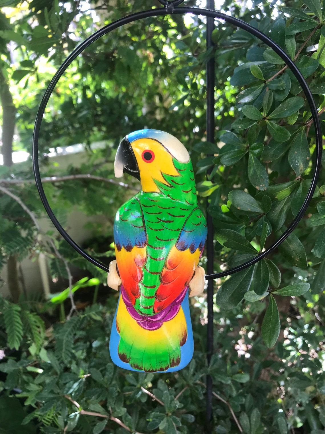 6 wooden carved parrot Etsy