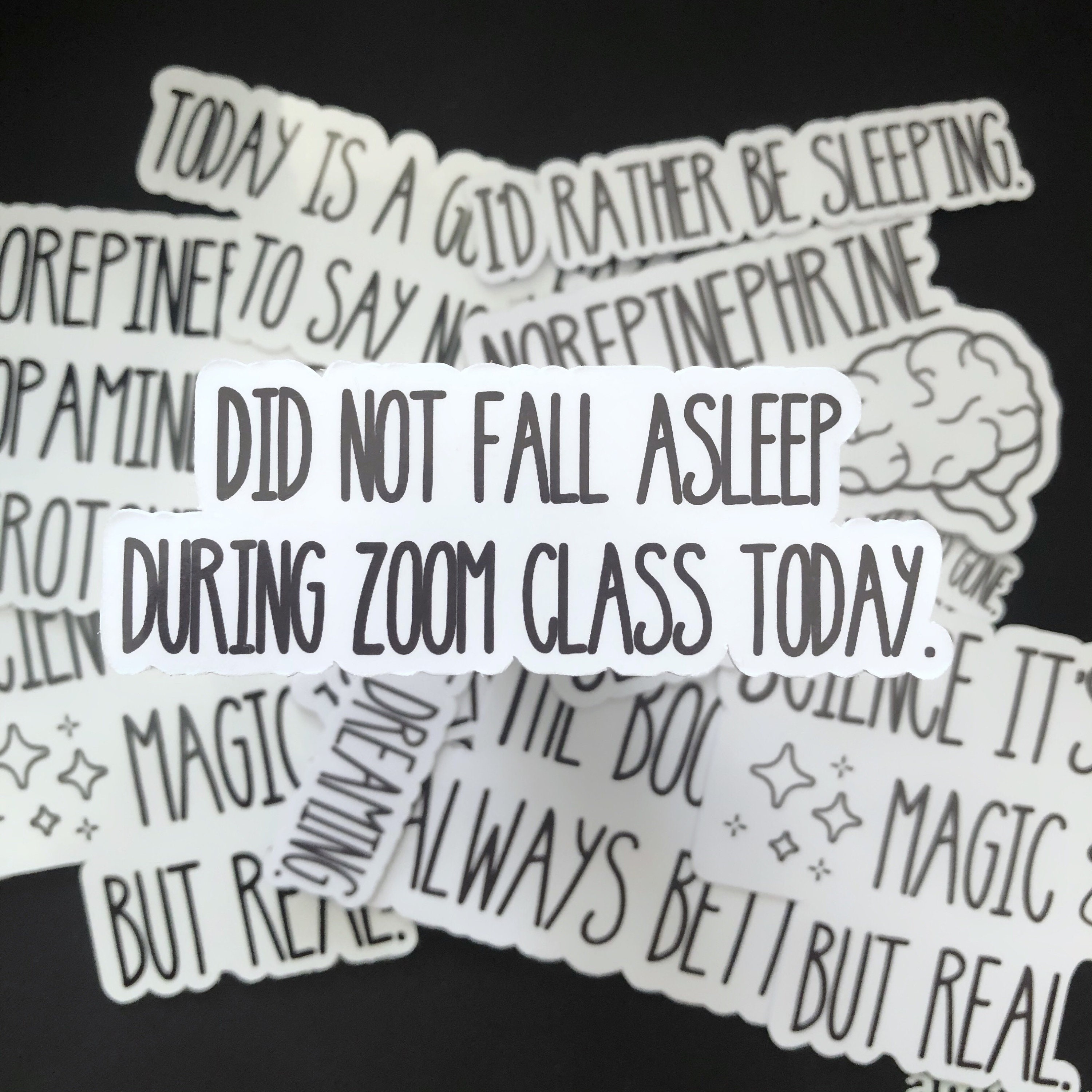 Did Not Fall Asleep During Zoom Class Today Sticker Student | Etsy