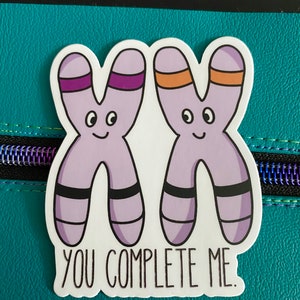 Pegatina de vinilo "Me completas", pegatina de cromosomas, regalo para profesores, regalo para amantes de la ciencia, pegatinas de ciencia, pegatinas de química, San Valentín