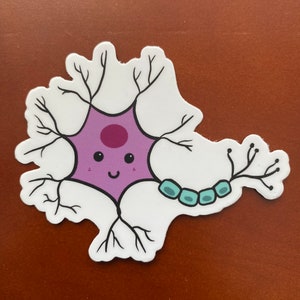 かわいいニューロンビニールステッカー、科学教師へのギフト、科学愛好家へのギフト、科学ステッカー、ウォーターボトルラップトップデカール
