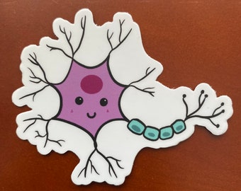 Cute neuron vinyl sticker, science teacher gift, science lover gift, science stickers, water bottle laptop decals