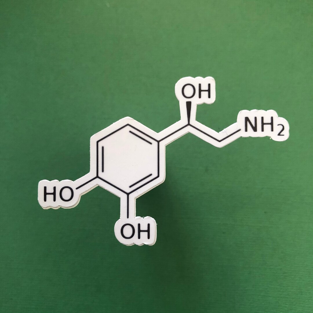 Norepinephrine Sticker Science Teacher Gift, Science Lover Gift, Laptop