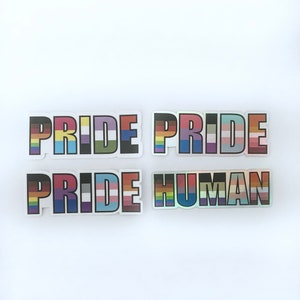LGBTQ+ pride sticker, vinyl stickers, holographic stickers, gay pride, queer pride, inclusive stickers, laptop decal, water bottle sticker