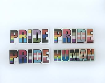 Naklejka LGBTQ+ pride, naklejki winylowe, naklejki holograficzne, gay pride, queer pride, naklejki inkluzywne, naklejka na laptopa, naklejka na butelkę z wodą