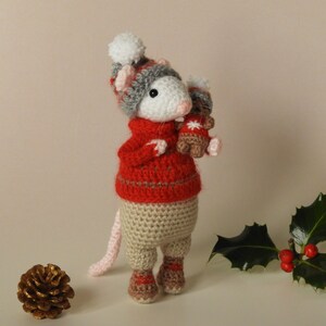 Crochet Mouse Pattern Pip the Winter Mouse and Teddy, amigurumi mouse pattern, knitted mouse pattern, mouse crochet pattern image 7
