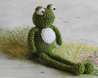 Crochet Frog Pattern with fly pattern