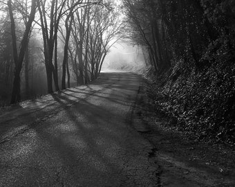 Arkansas Misty Morning Black and White Fine Art Photography