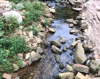 Arkansas Serenity Stream Fine Art  Color Photography.