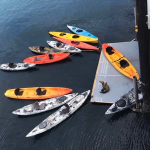 Santa Cruz, California Kayak Cruising, Fine Art Color Photography