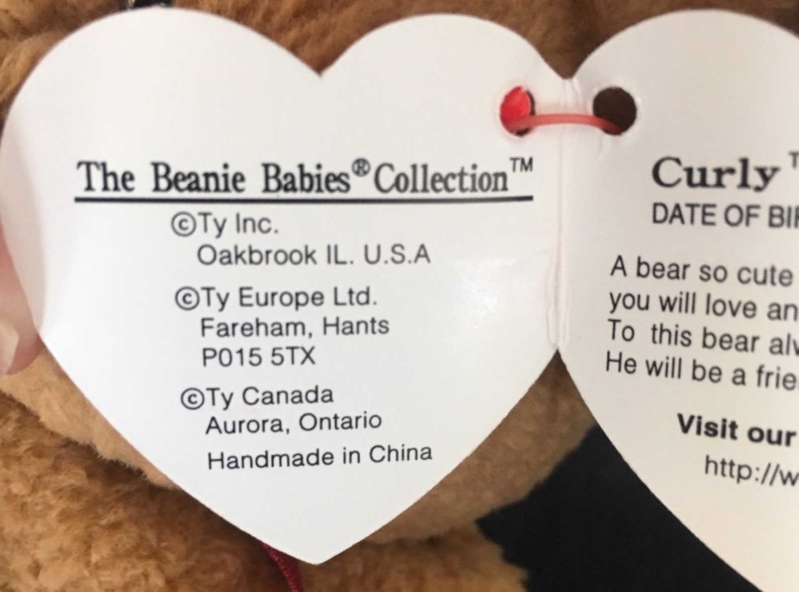 Curly the TY Original Beanie Baby Bear 1993 Tush Tag, Rare & Retired Etsy