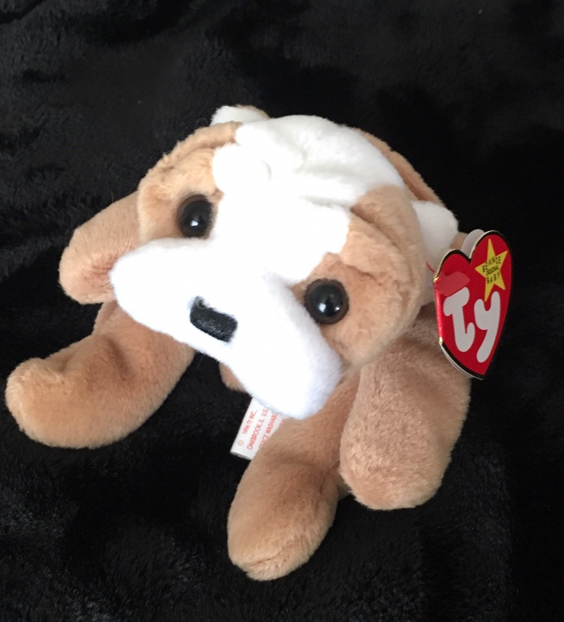 TY 1996 Wrinkles Beanie Babies Collection Retired and Rare Etsy