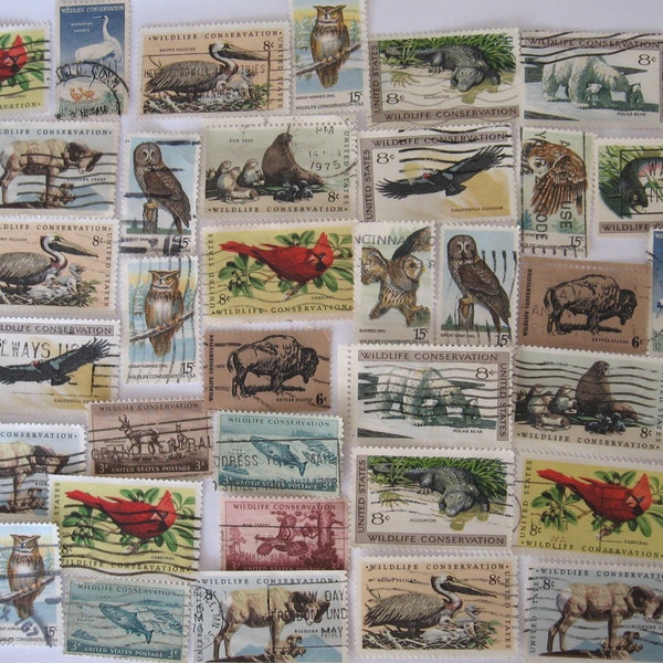 40 Wildlife Conservation used vintage stamps, animals and owls, off paper, duplicates