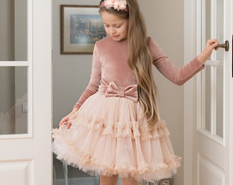 long sleeves tulle dress, girls party dress, birthday dress, first birthday, flowergirl dress, luxury, baby dress, flower girl dress, velour