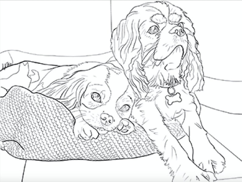 DOG COLORING PAGE 2 Cavalier King Charles Spaniels  Etsy