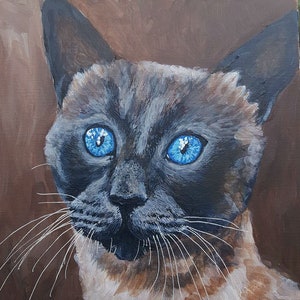 Siamese Cat Original Painting | Siamese cat portrait, Siamese cat original art, Siamese cat pet painting, Siamese Cat wall hanging, cat art