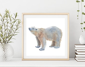 POLAR BEAR Print, Polar Bear Watercolor, Polar Bear Painting, Animal Art, Bear Decor, Wildlife Art, Natural Illustration, Polar Bear Art