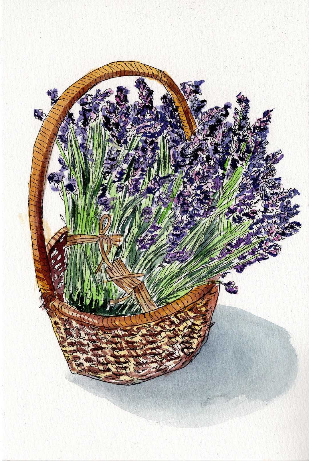 Lavender Art Print Lavender Poster, French Lavender Art, French