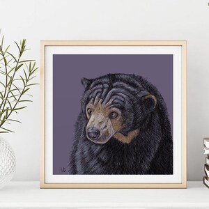 SUN BEAR Print, Bear Painting, Animal Art, Bear Decor, Wildlife Art, Homeschool Poster, Natural Illustration, Bear Art, School Art